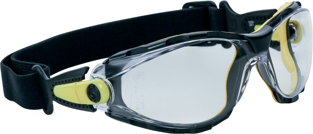 Pracovné okuliare PACAYA CLEAR STRAP LYVIZ DELTAPLUS ČíRE